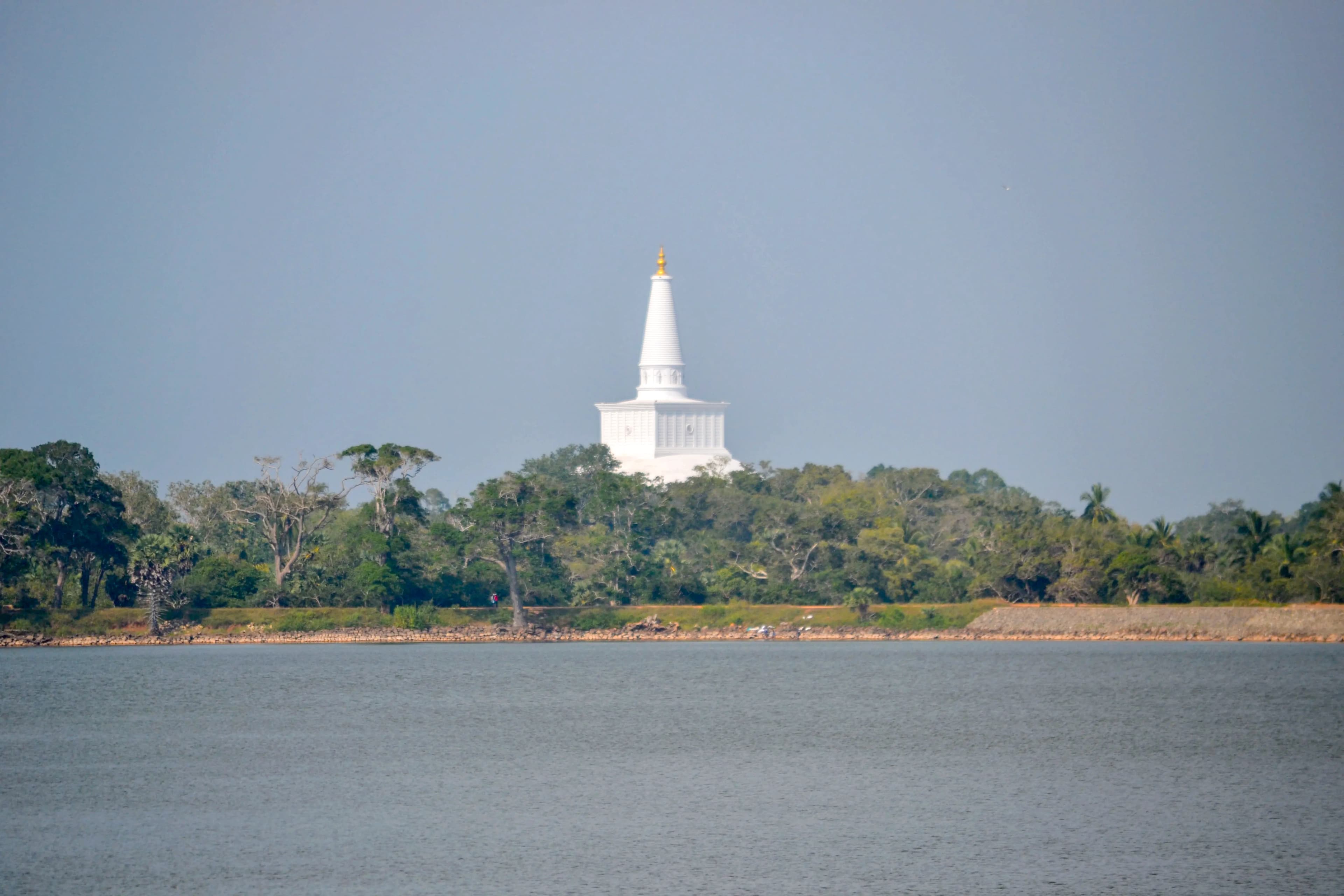 Anuradhapura Archaeological Site image 3