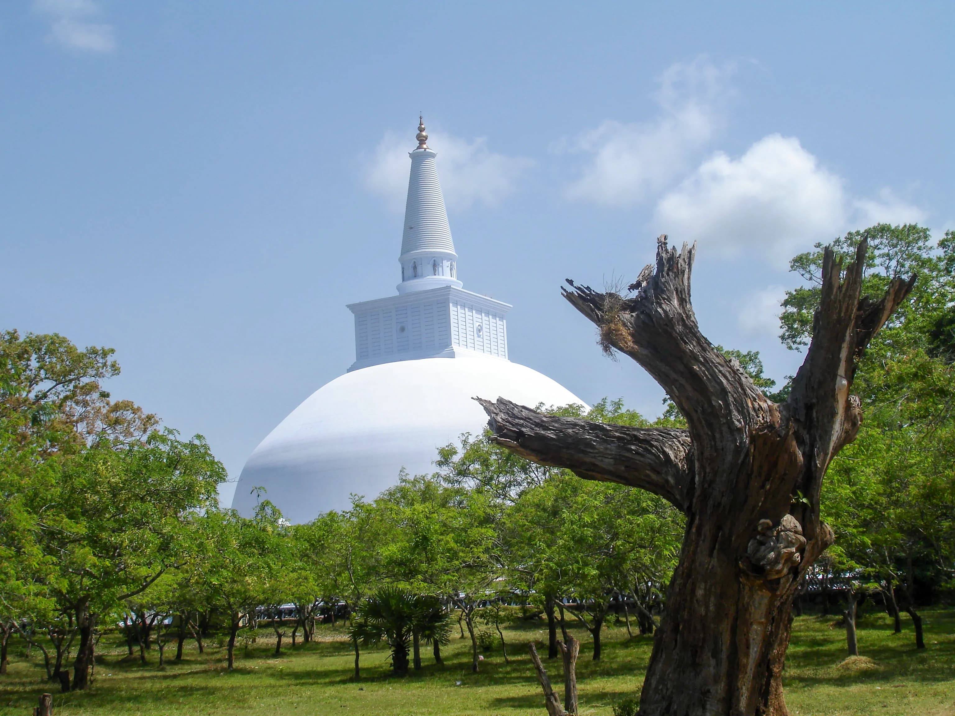 Anuradhapura Archaeological Site image 2