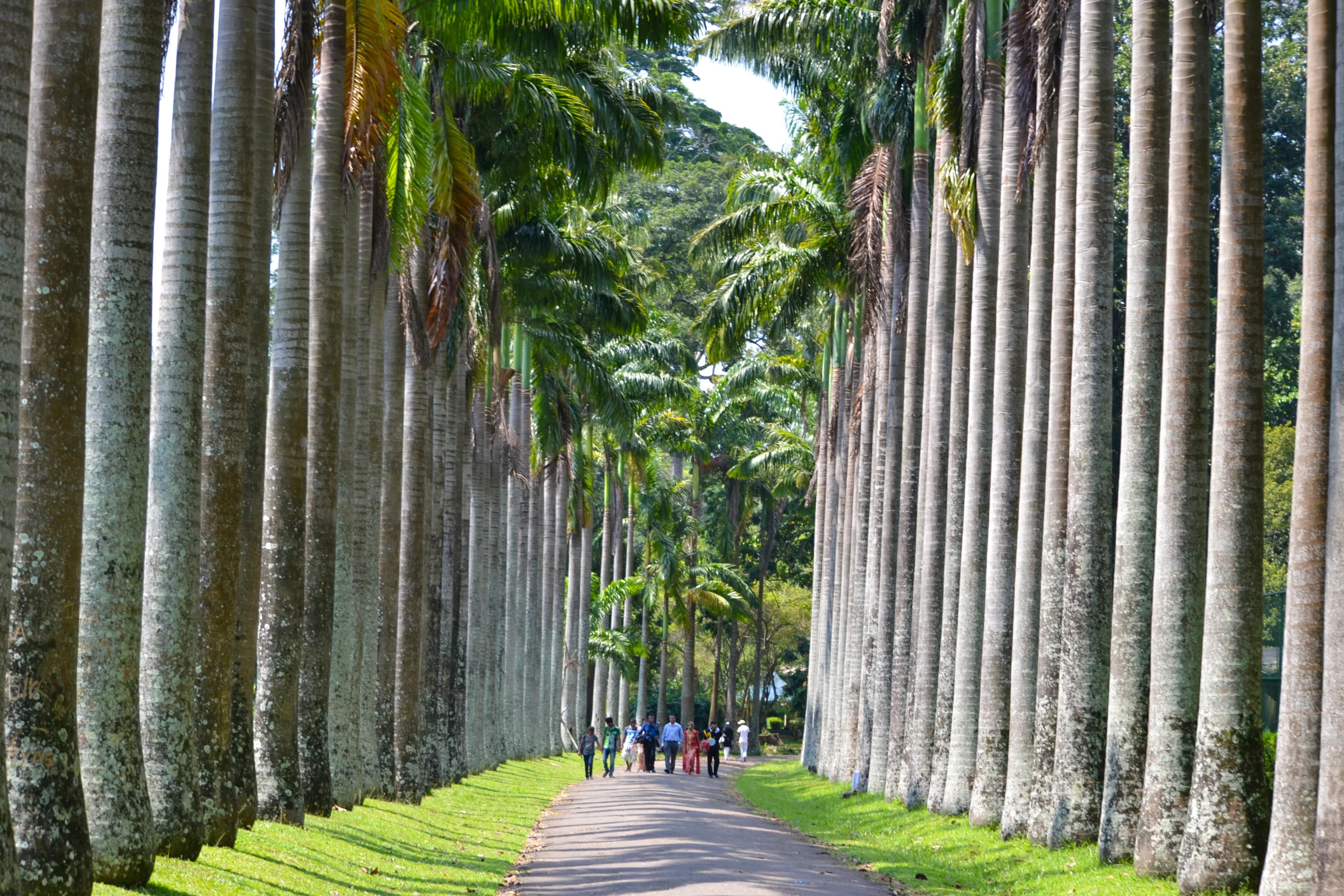 Botanical Gardens image 3