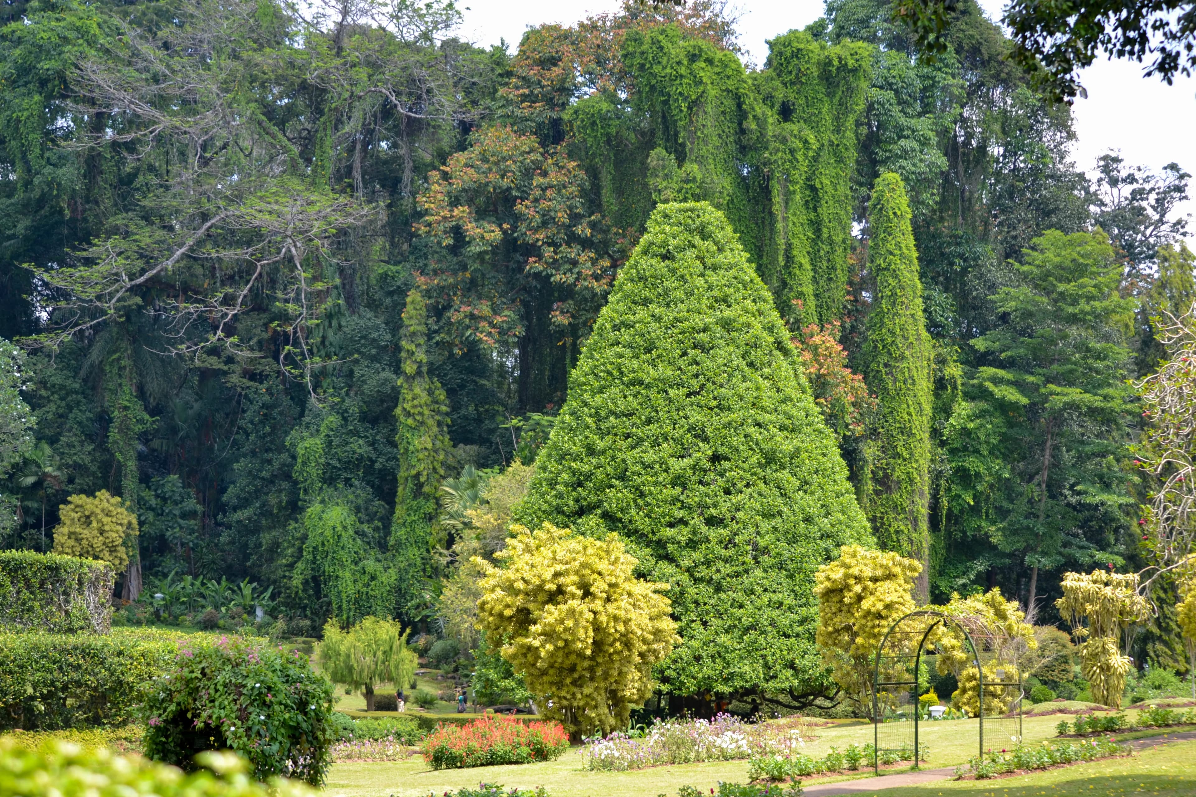 Botanical Gardens