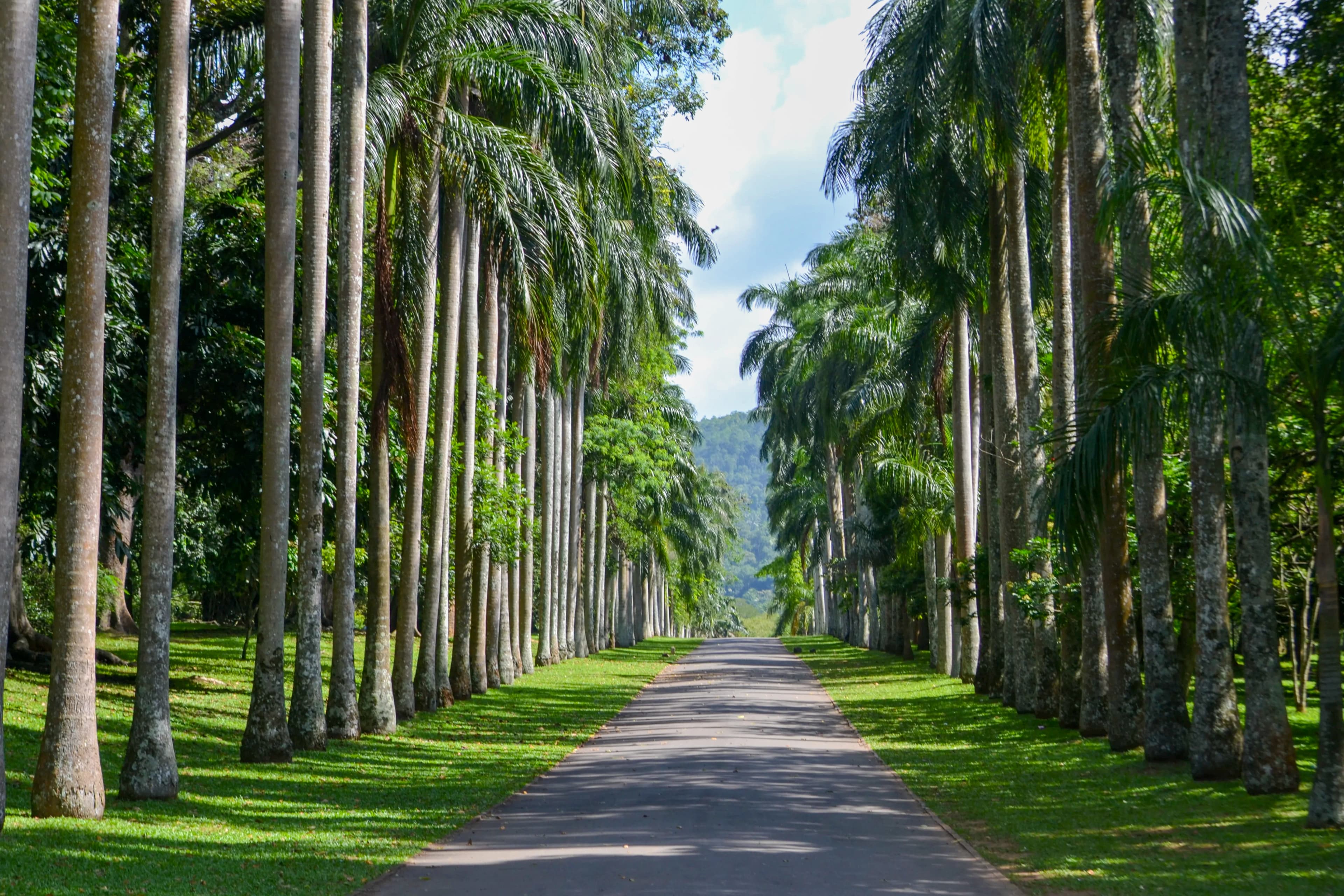 Botanical Gardens image 5
