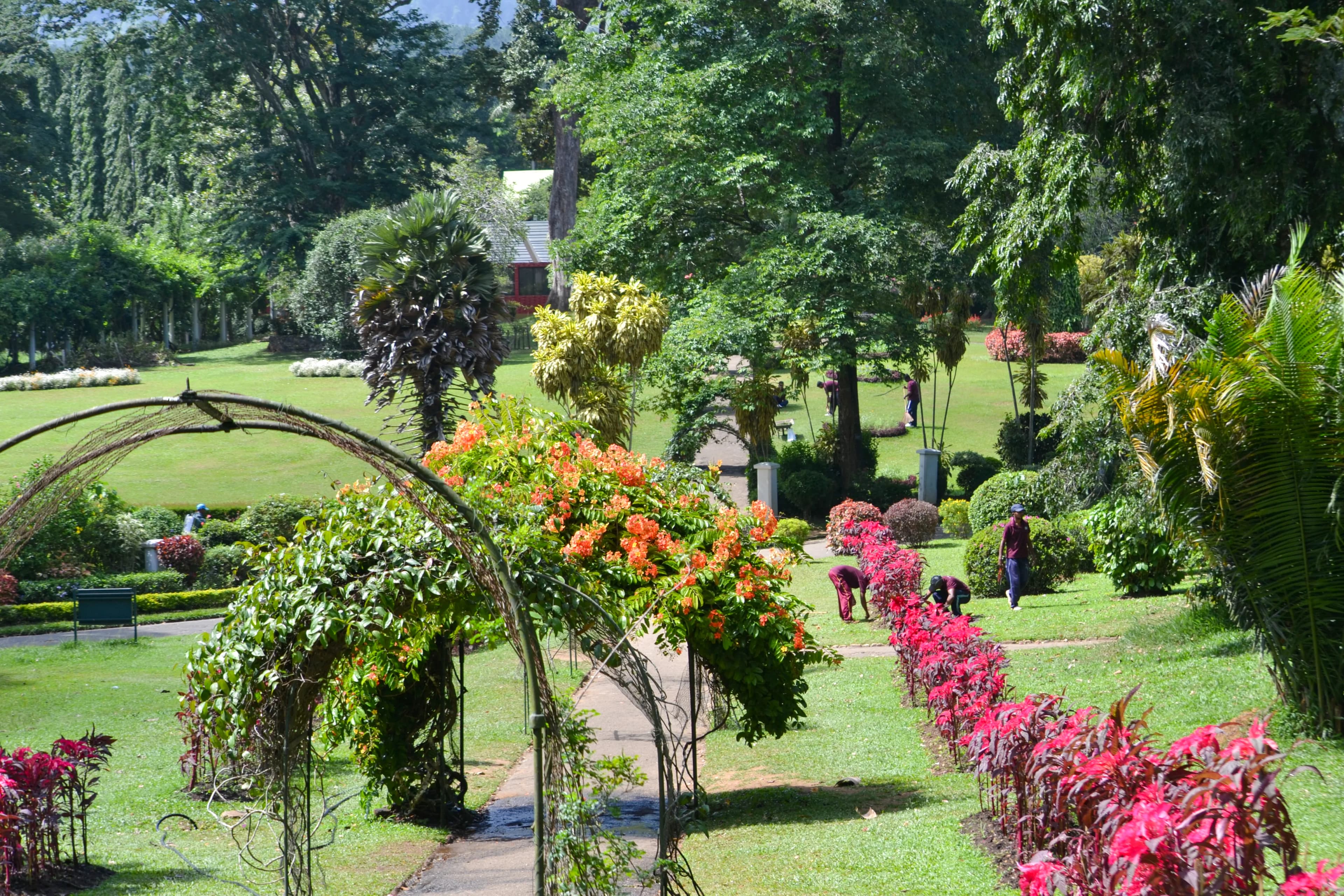 Botanical Gardens image 2