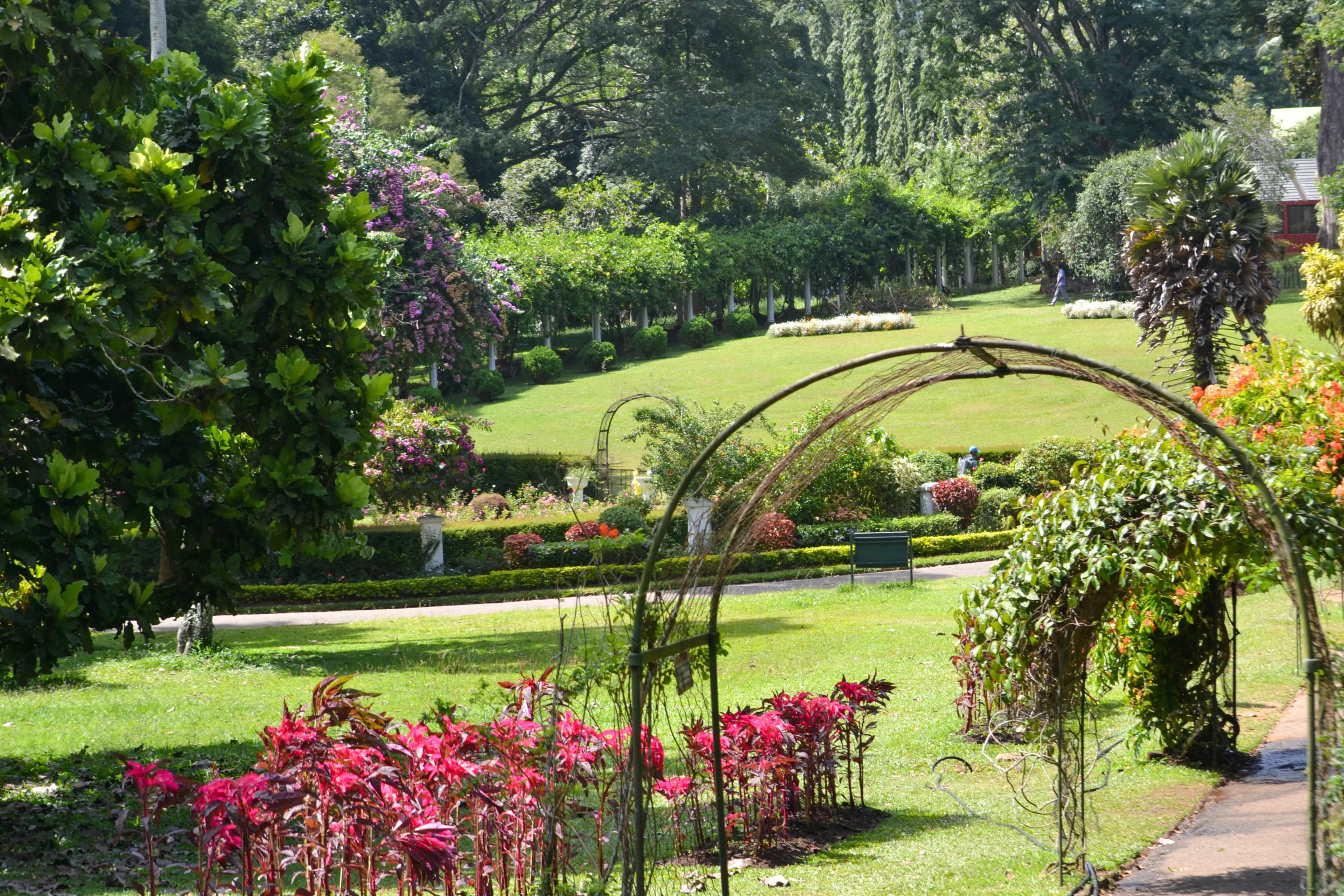 Botanical Gardens image 6