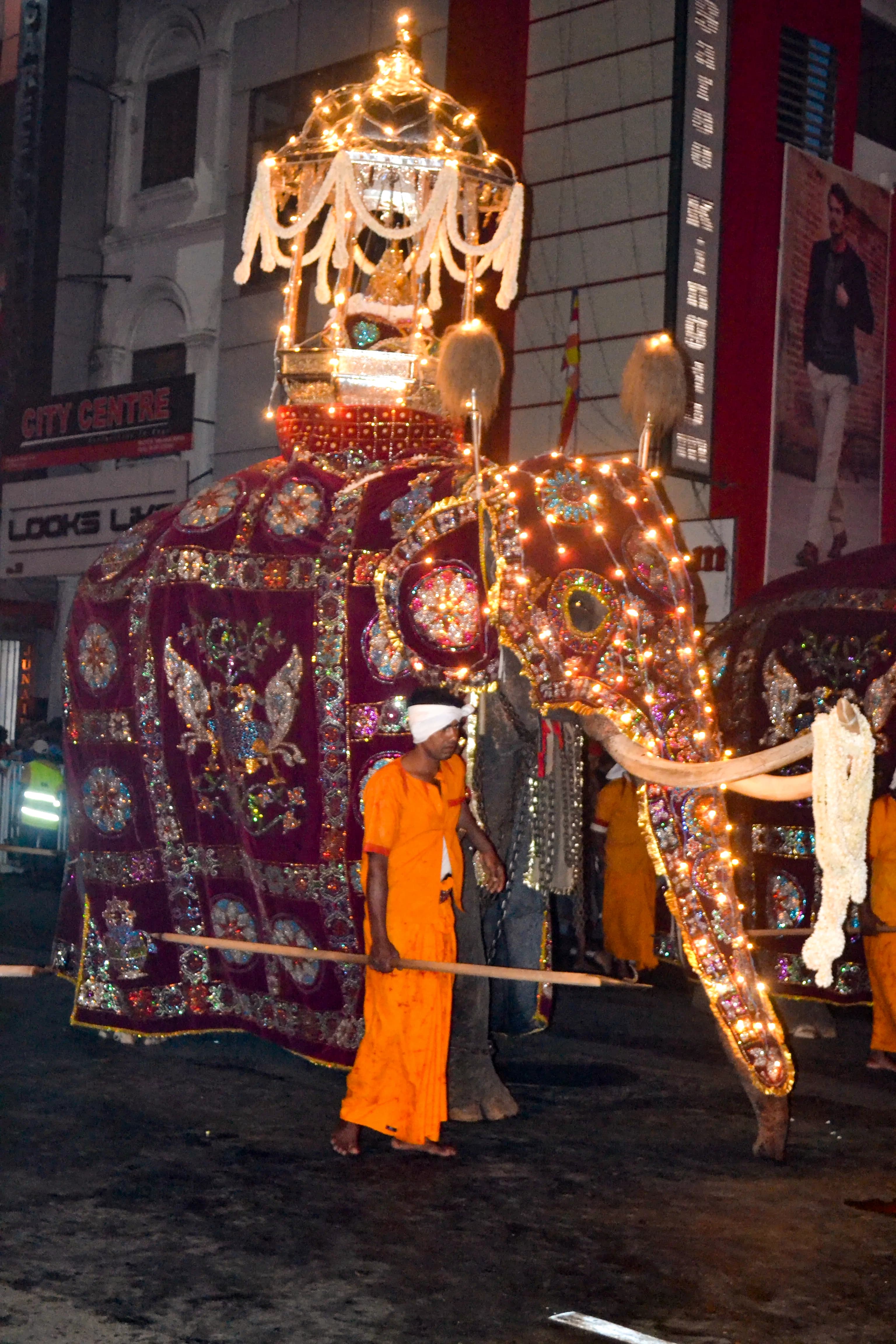 Kandy Esala Perahera image 2